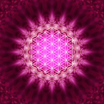 Blume des Lebens